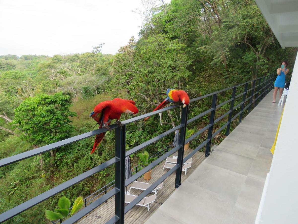 La Maison Blanche Manuel Antonio Kültér fotó